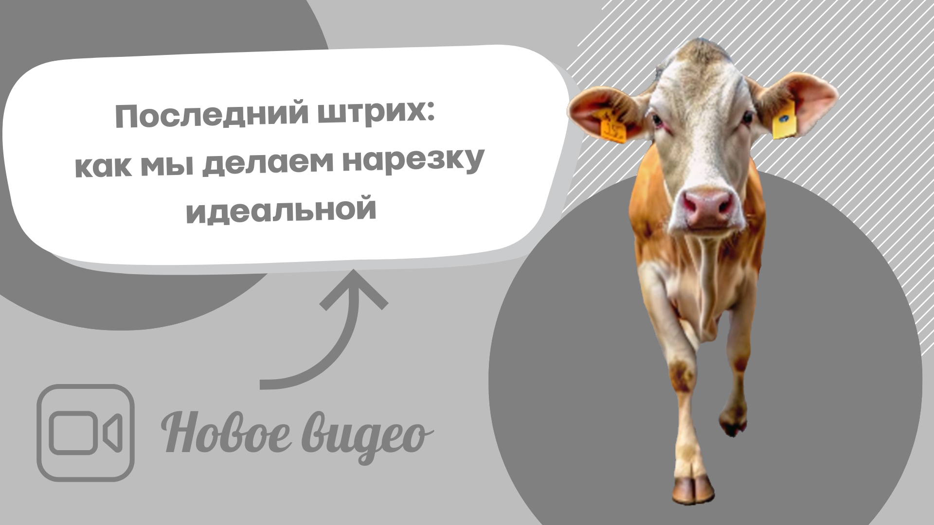 315b6e0d-582e-40cb-9782-8c8af011e661-6 финишная обработка.png